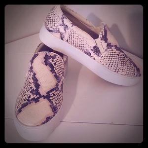 Steve Madden Sneakers